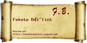 Fekete Bálint névjegykártya
