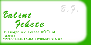 balint fekete business card